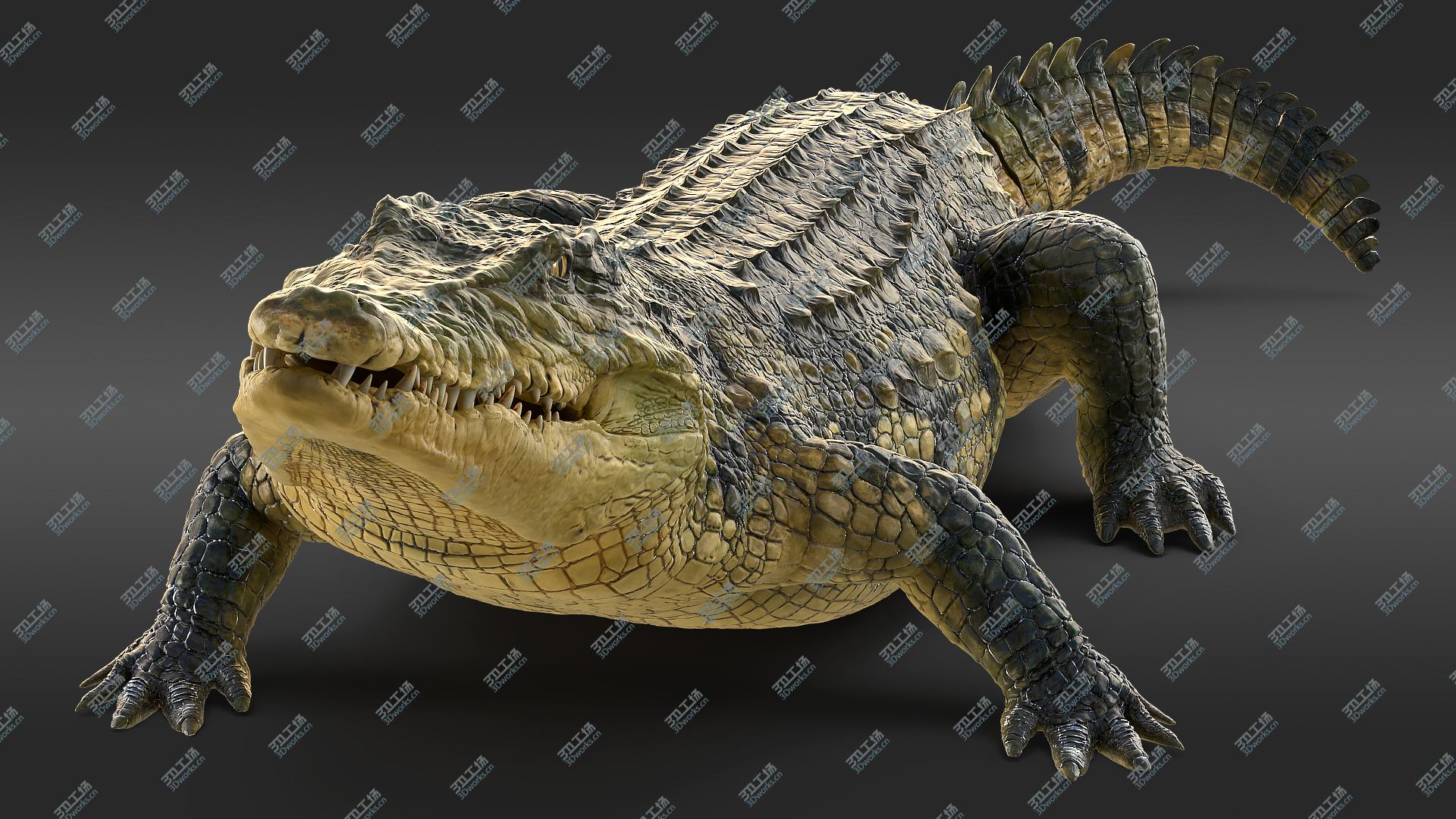 images/goods_img/2021040231/Animated Crocodile Eating Rigged model/2.jpg